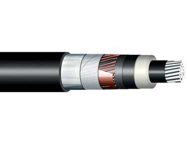 Image of XLPE Al single core cable